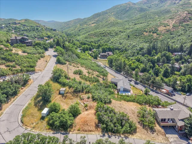 Expansive sloped land parcel offering development potential