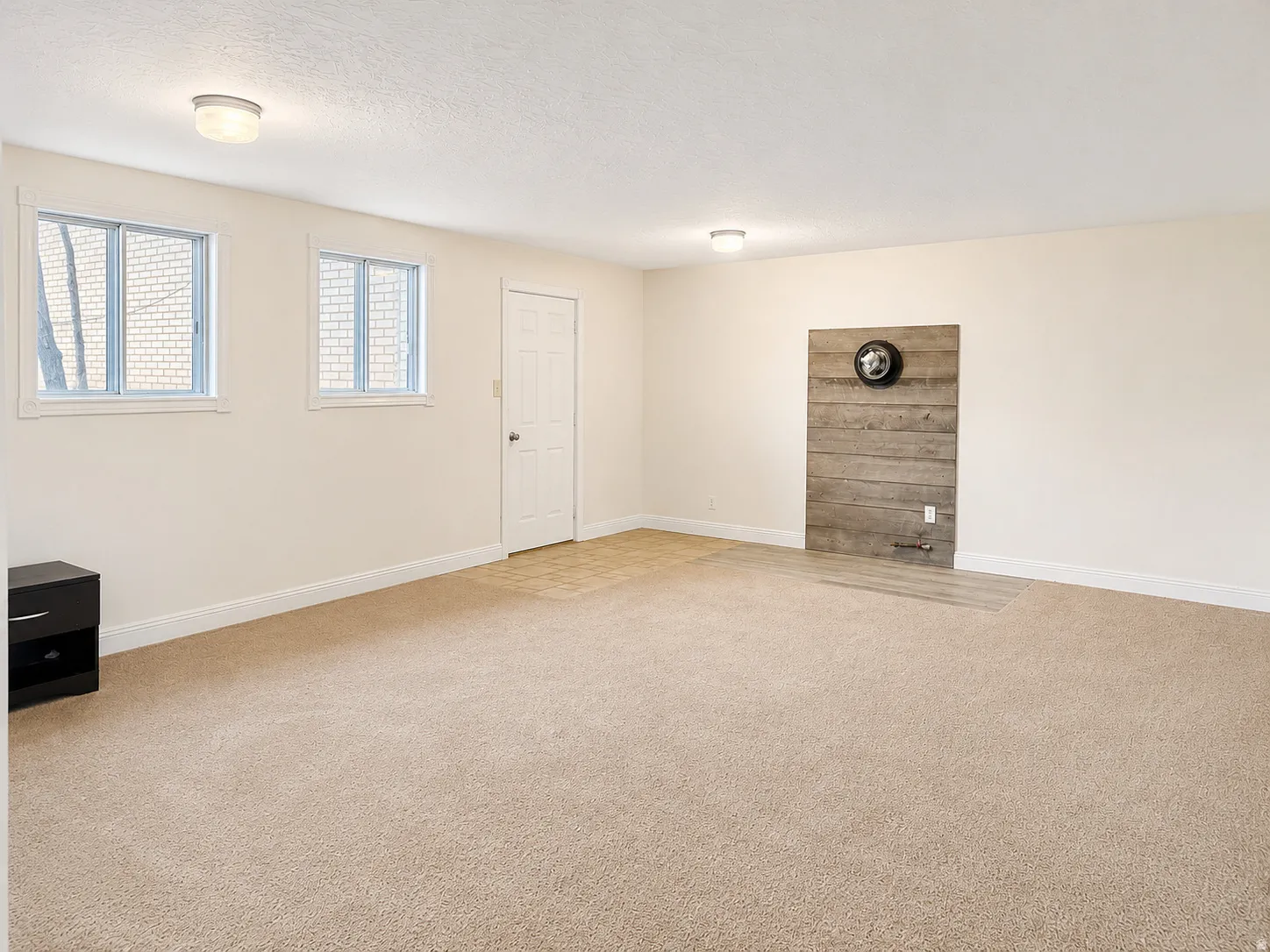 Spacious room featuring neutral carpeting, two windows with white trim, a white paneled door, and a decorative wood-panel accent wall with built-in lighting