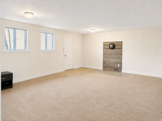 Spacious room featuring neutral carpeting, two windows with white trim, a white paneled door, and a decorative wood-panel accent wall with built-in lighting