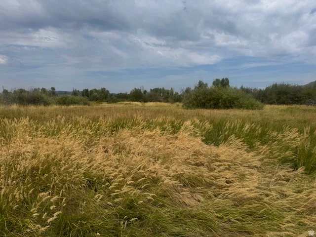 View of local wilderness featuring rural landscape