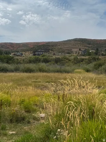 View of local wilderness featuring rural landscape