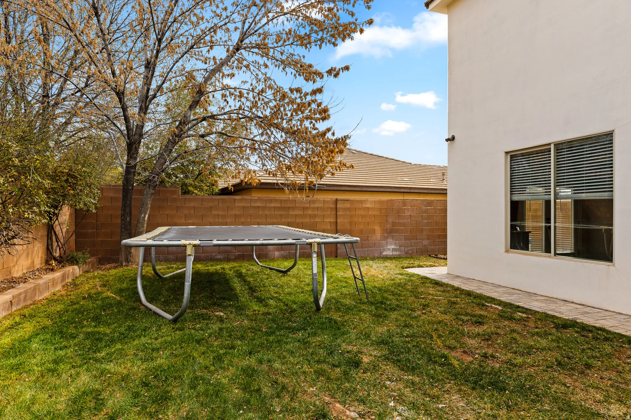 Fenced backyard with a trampoline and a patio