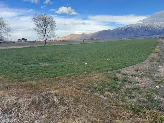 Expansive agricultural field with distant snow-capped mountains under a partially clouded sky