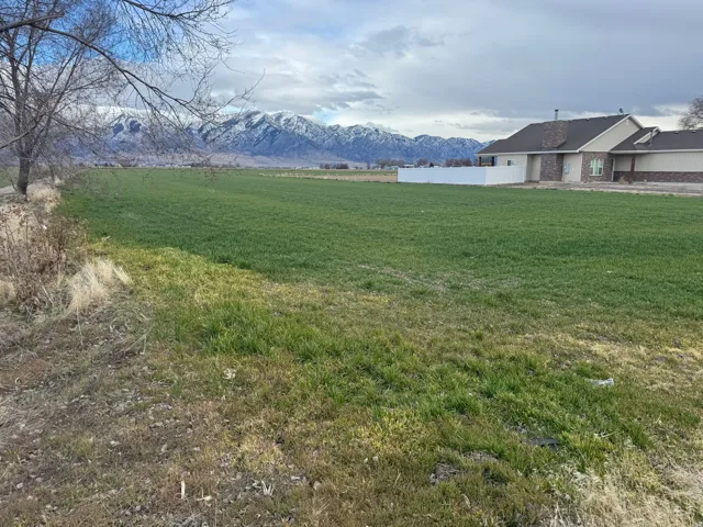 Expansive green field with distant snow-capped mountains