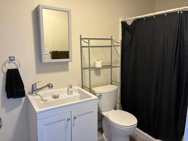 Bathroom with vanity and curtained shower