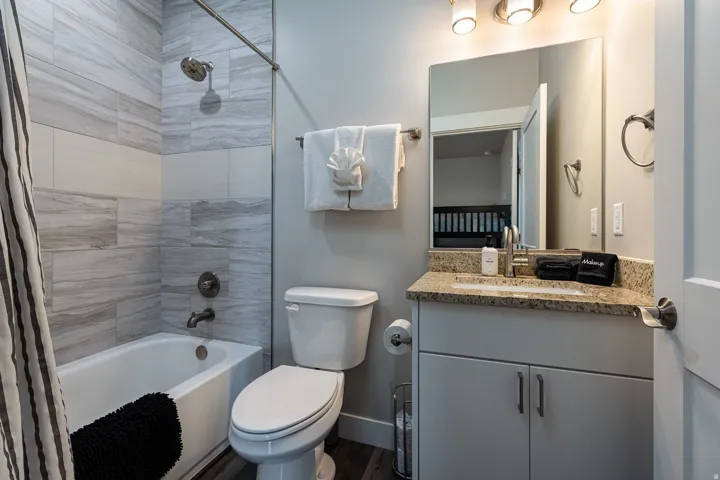 Full bathroom featuring shower / tub combo with curtain, vanity, and dark wood finished floors