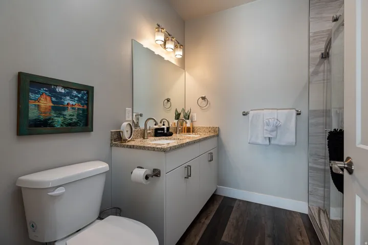 Full bath featuring vanity, a shower with shower door, and dark wood-style flooring