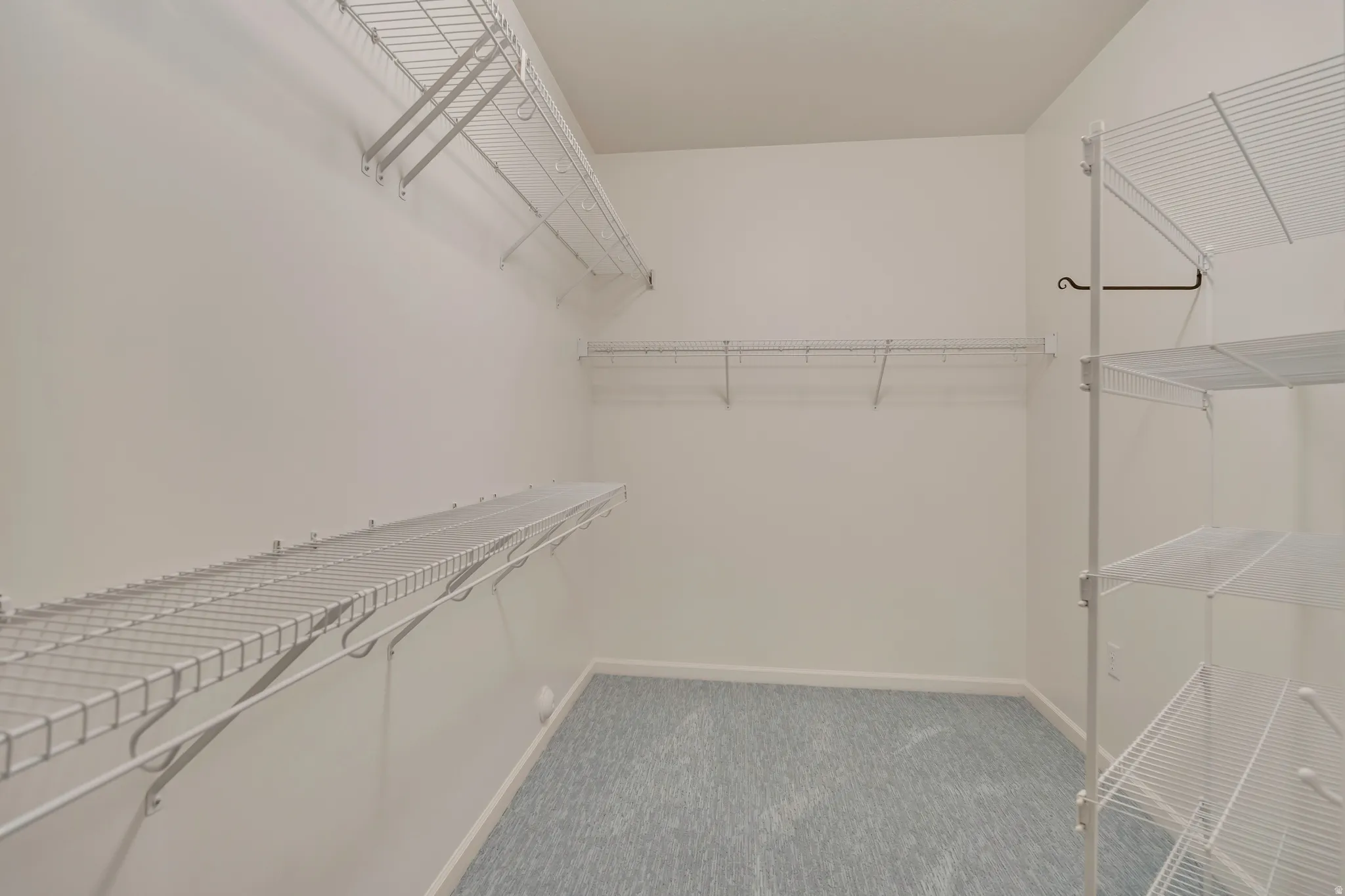 Walk in closet featuring light carpet