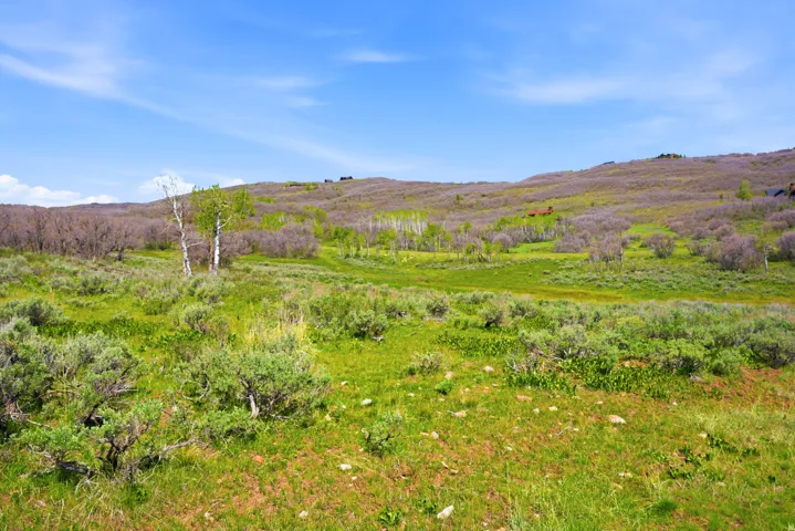 Expansive natural landscape featuring rolling hills and abundant shrubbery