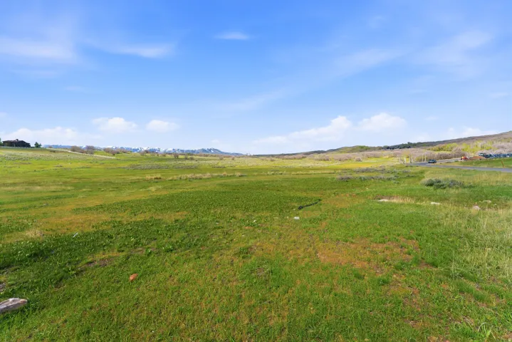 Expansive green landscape with distant rolling hills and a clear blue sky