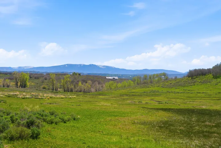 Expansive green fields and natural vegetation with distant mountain ranges under a clear sky