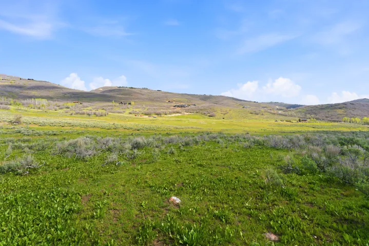 Expansive rolling landscape featuring abundant green foliage and distant elevated terrain