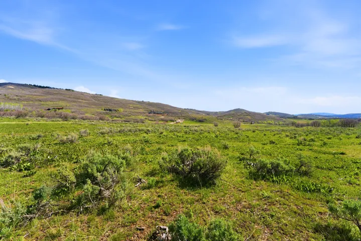 Expansive open land featuring verdant green foliage, rolling hills, and a clear blue sky