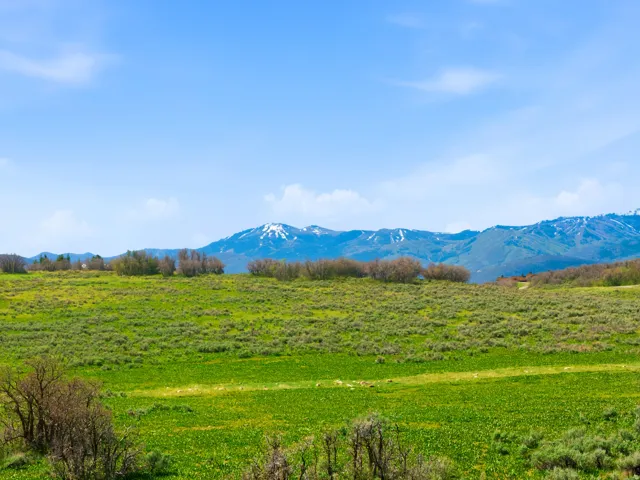 Expansive green landscape with distant snow-capped mountains under a clear sky