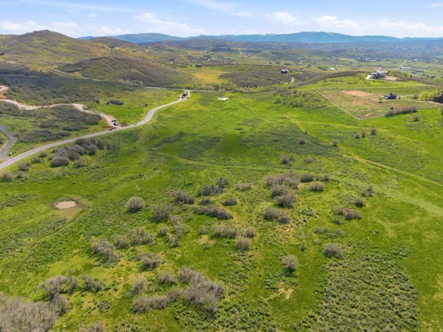 Expansive green landscape featuring rolling hills and scattered brush