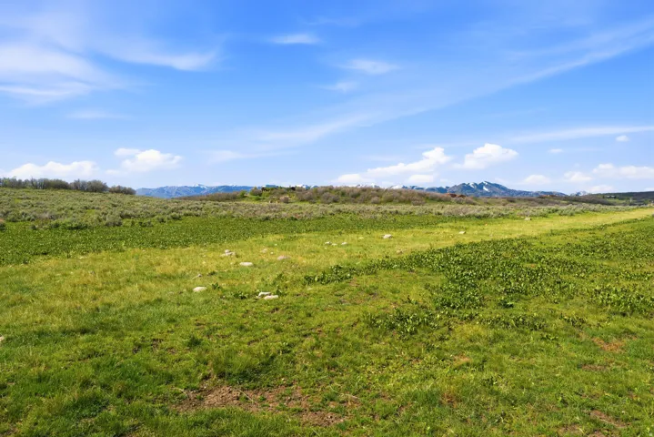 Expansive green field featuring varied vegetation and distant mountains under a clear sky