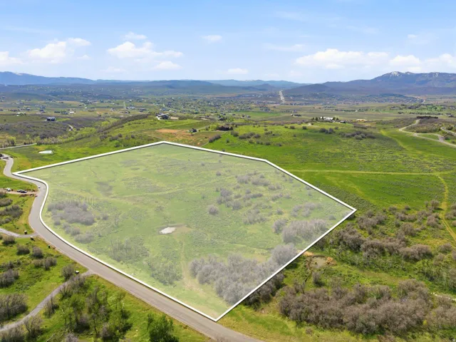 Expansive parcel featuring a defined boundary, verdant ground cover, scattered shrubs, and a paved road frontage