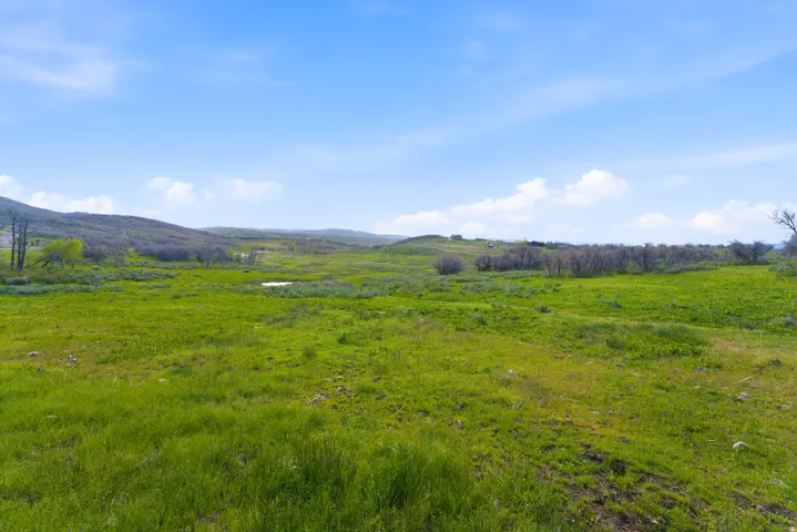 Expansive green landscape featuring varied terrain and distant hills under a bright sky