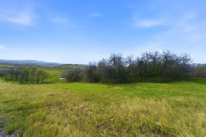 Expansive green landscape with varying grasses and distant rolling hills