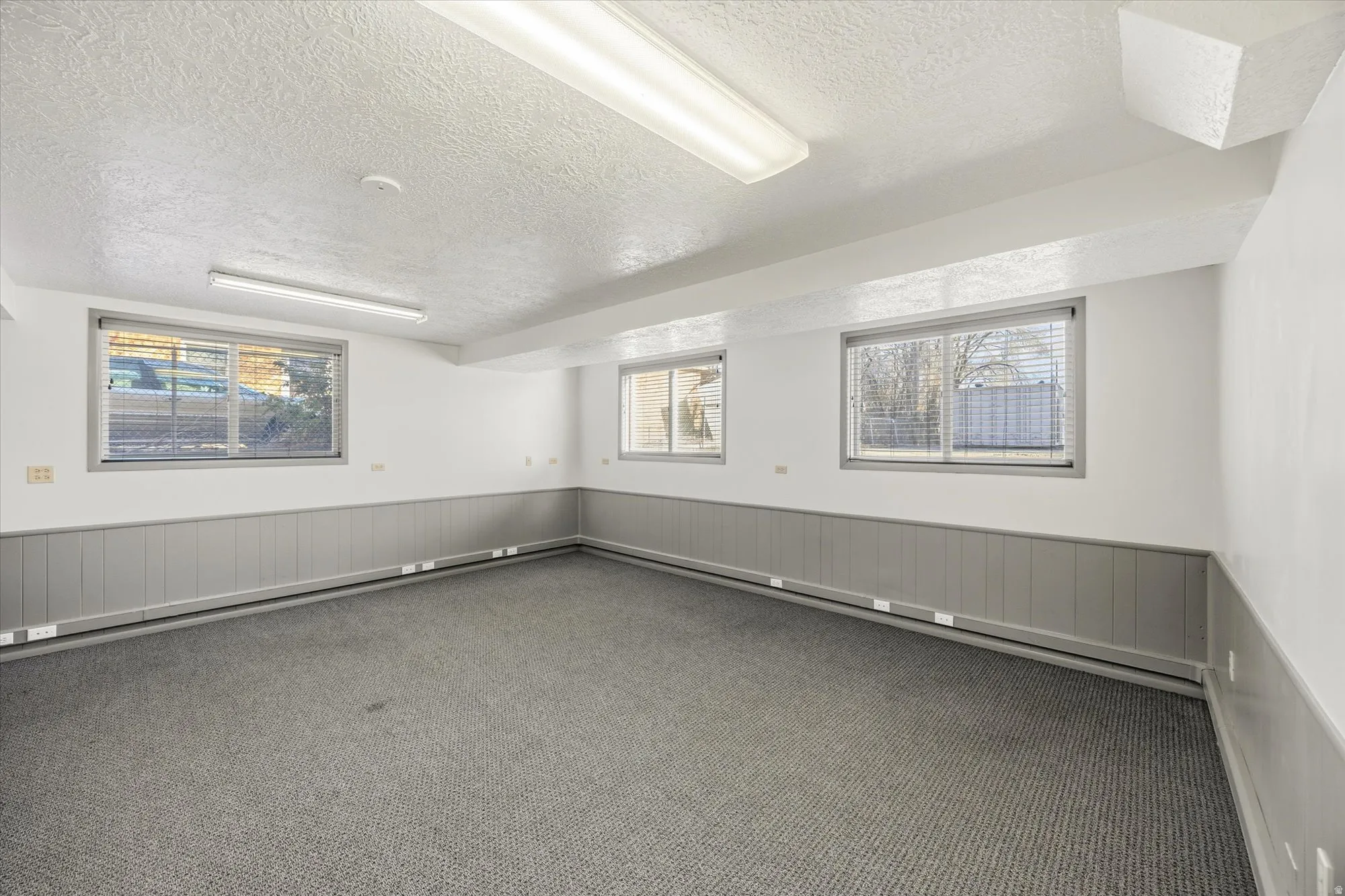 Below grade area with a wainscoted wall, carpet flooring, a textured ceiling, and a baseboard heating unit