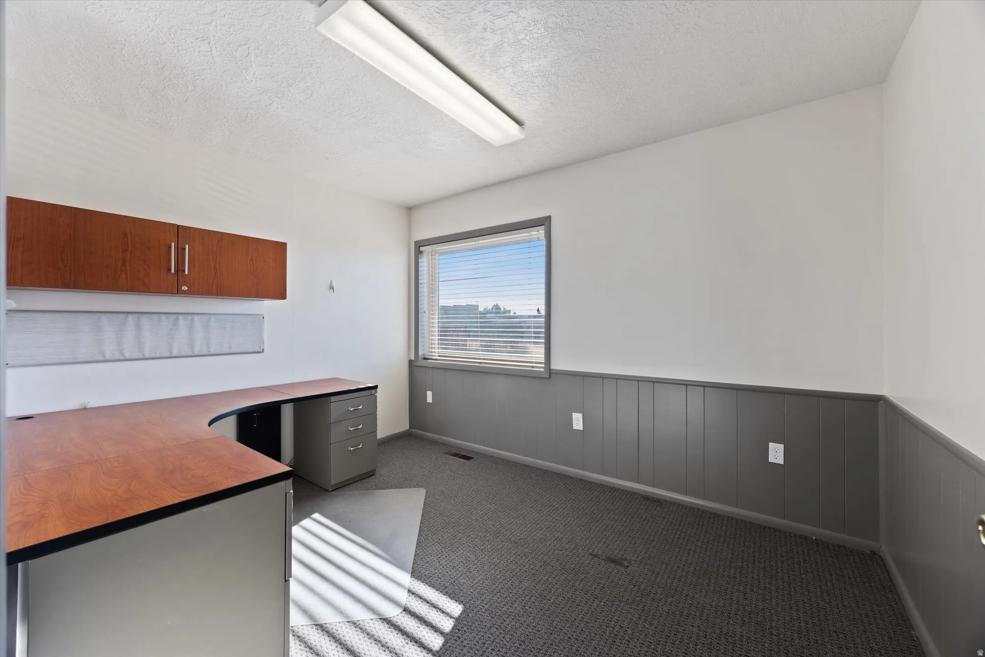 Unfurnished office featuring a textured ceiling, dark colored carpet, and wainscoting