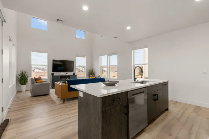 Kitchen with dark wood finish cabinets, modern cabinets, open floor plan, dishwasher, and light wood-type flooring