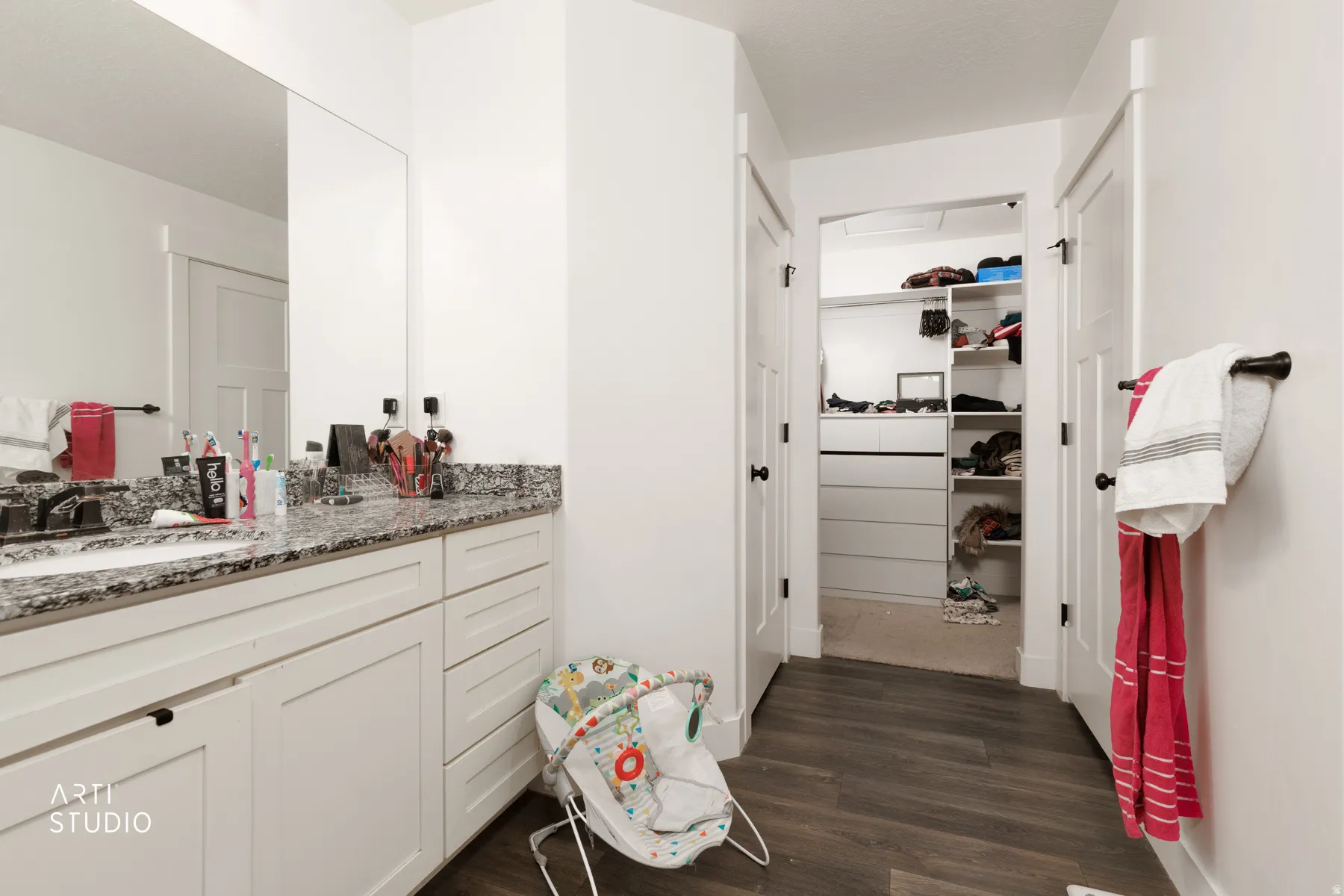 Full bathroom with vanity, dark wood-type flooring, and a spacious closet