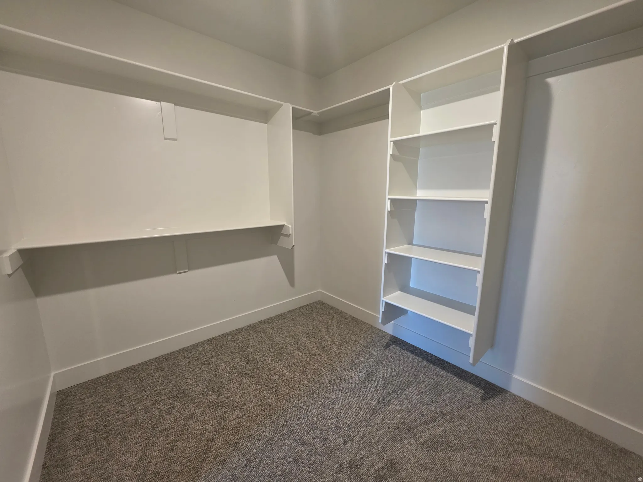 Walk in closet featuring dark colored carpet