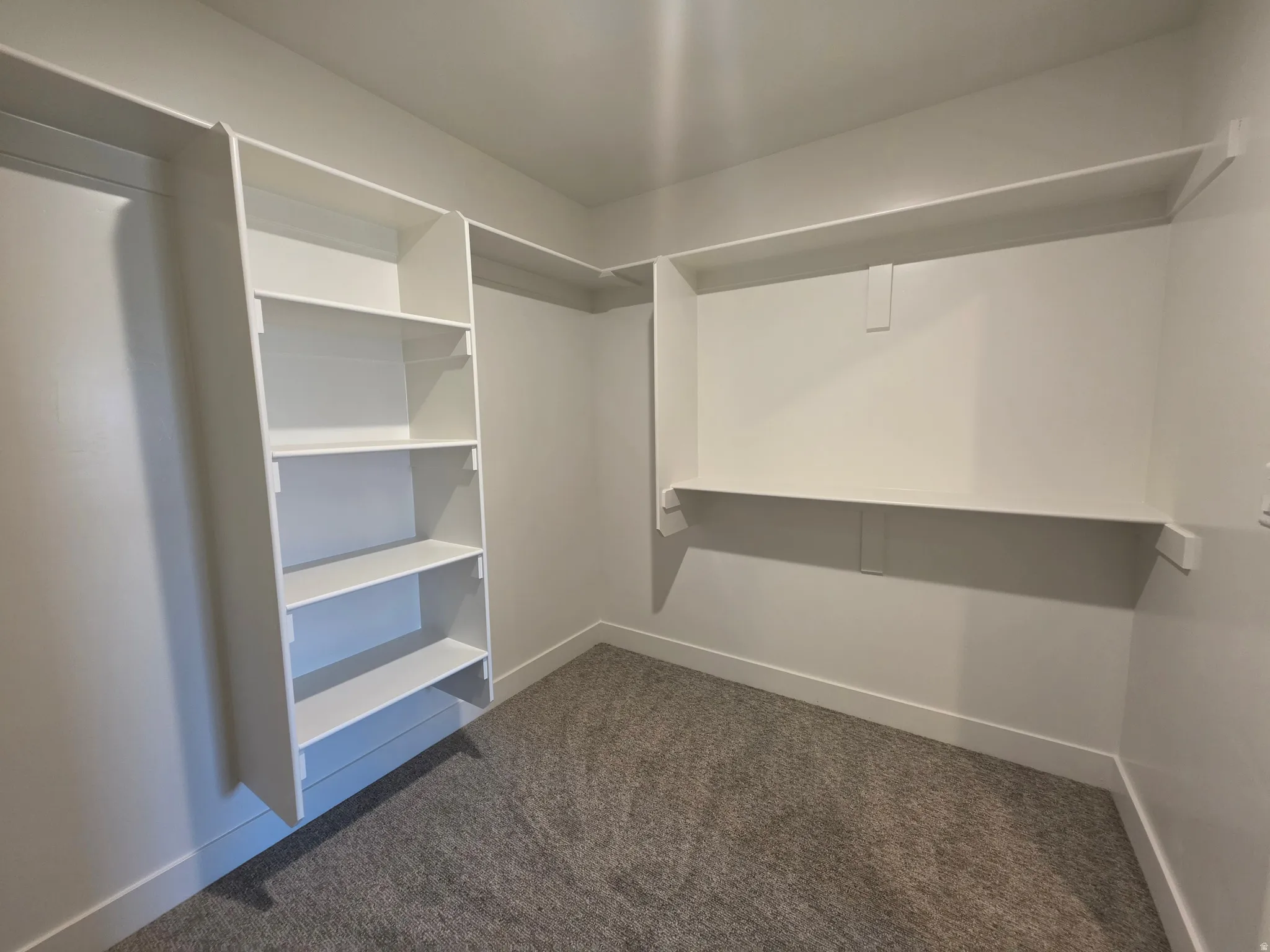 Walk in closet featuring dark carpet