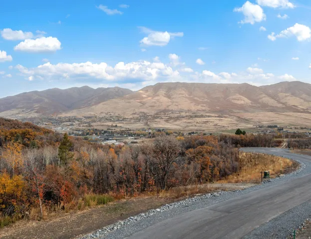 View of mountain background