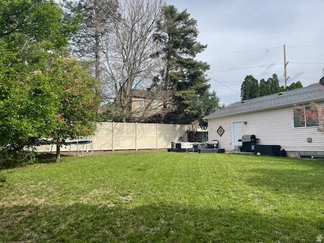 Expansive lawn area featuring a mature tree with foliage