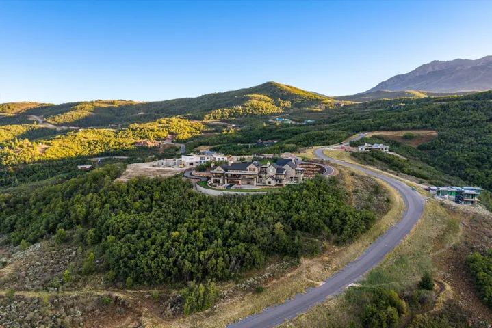 Hillside property with a multi-story residence, surrounded by abundant natural landscaping