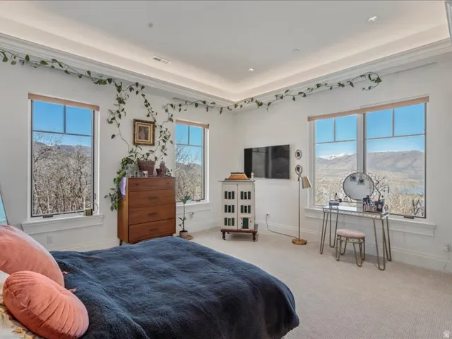 Carpeted bedroom with multiple windows and a raised ceiling