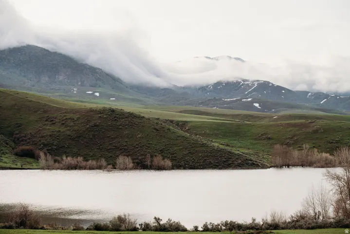 Devils Creek in spring/summer.