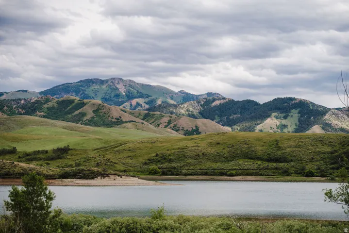 Devils Creek in spring/summer.