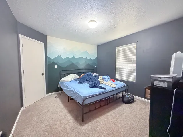 Carpeted flooring, recessed window with blinds, and white interior door