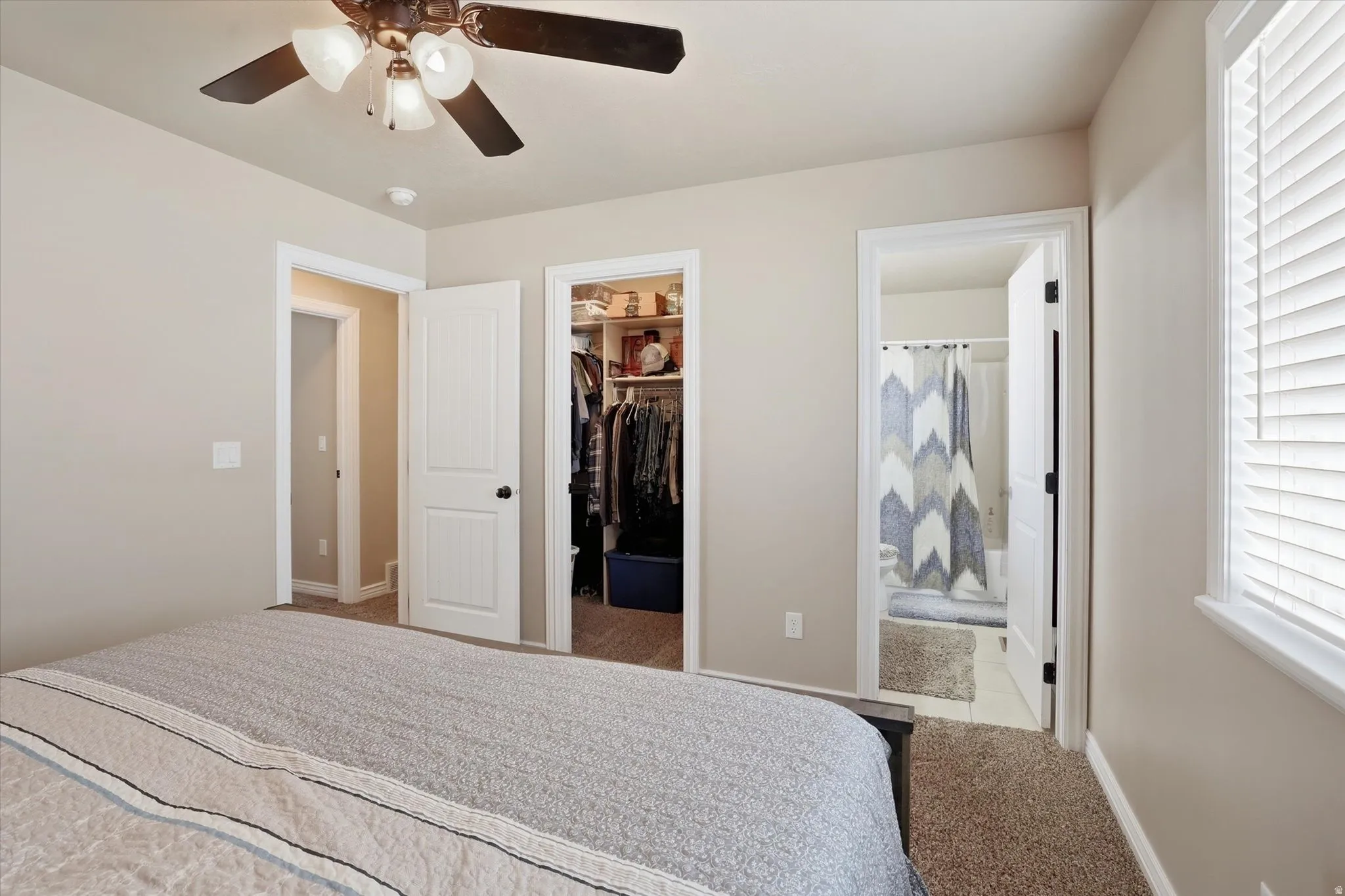 Carpeted bedroom with a walk in closet, ceiling fan, and ensuite bathroom