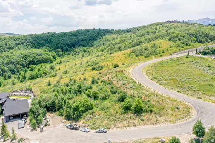 Bird's eye view of a forest
