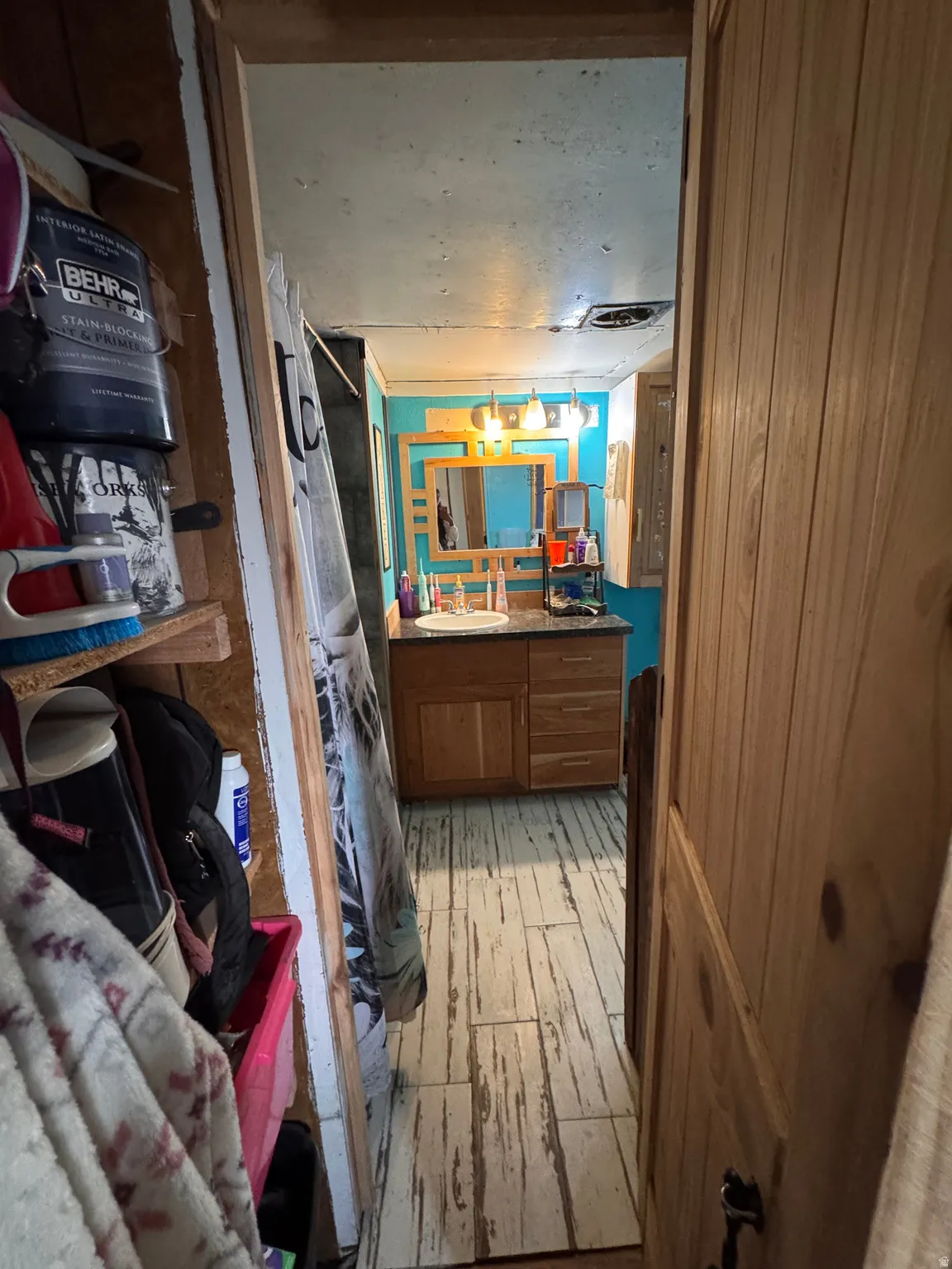Bathroom featuring vanity, light wood-type flooring, and curtained shower