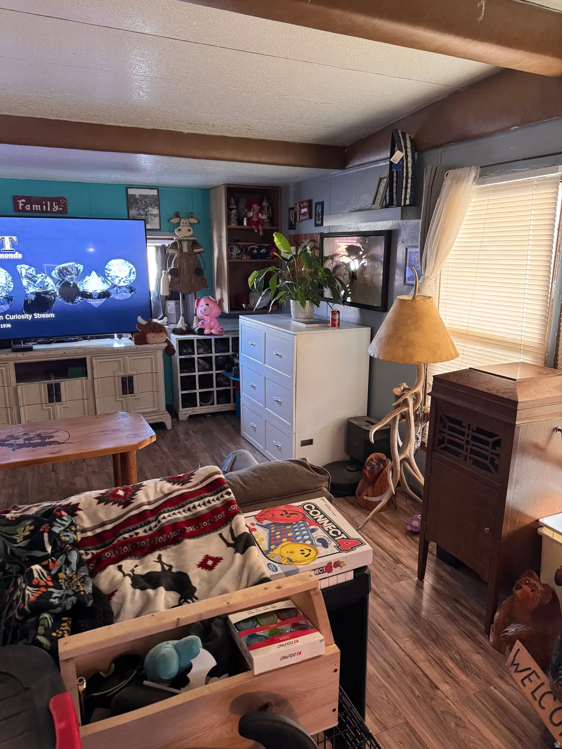 Living room featuring dark wood-style flooring