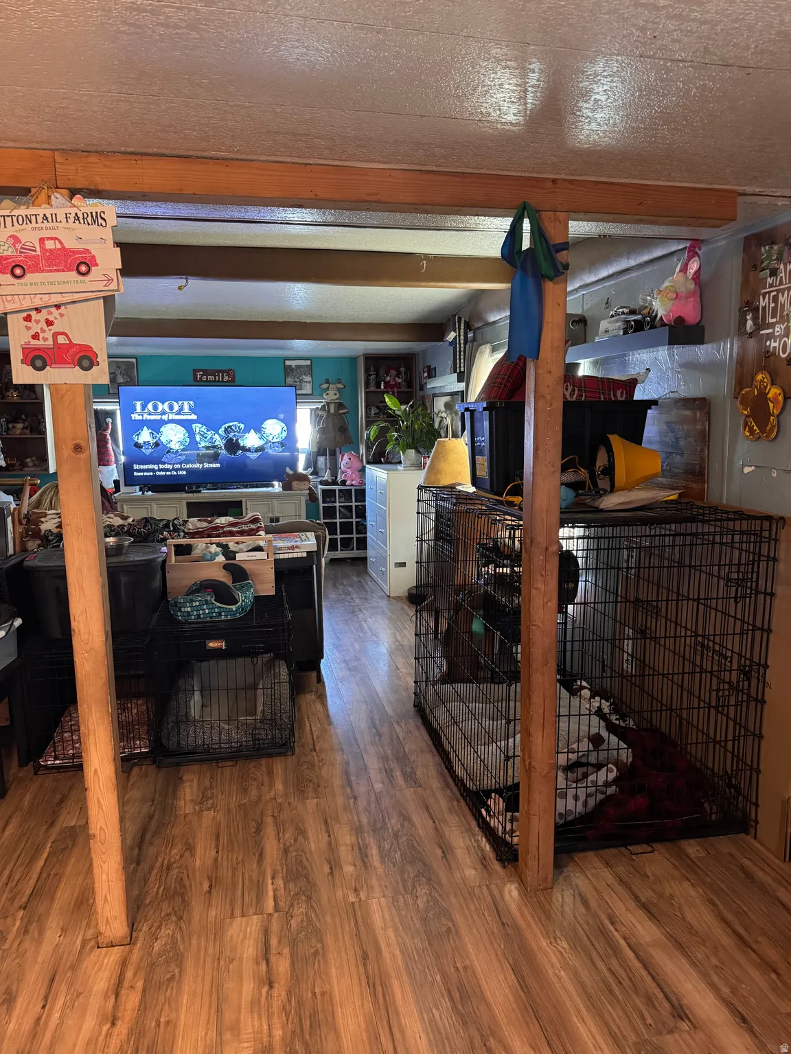 Living room with wood finished floors and a textured ceiling