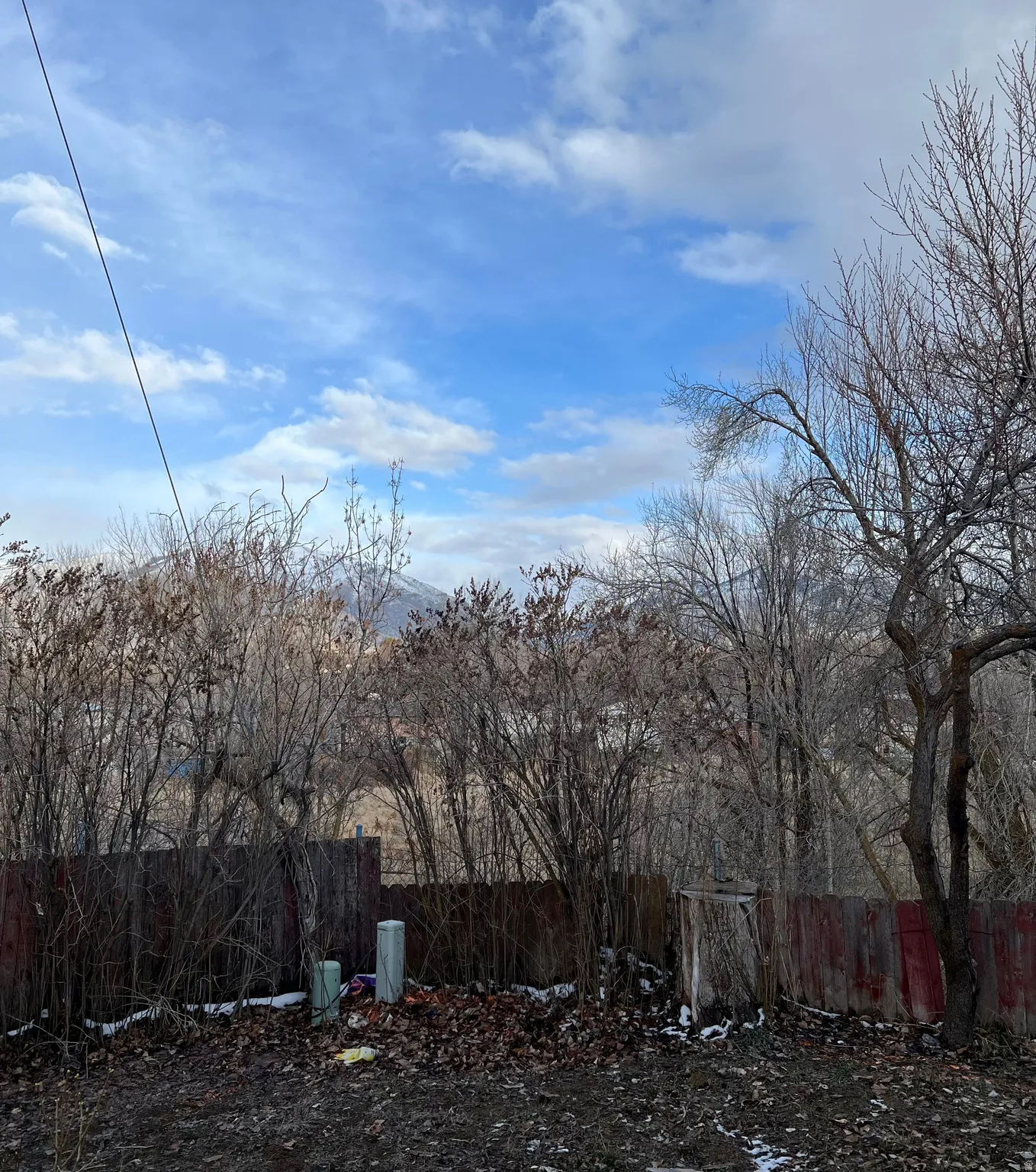 View of fenced yard