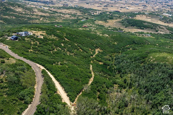 Expansive mountainous terrain featuring extensive green foliage and a winding dirt road