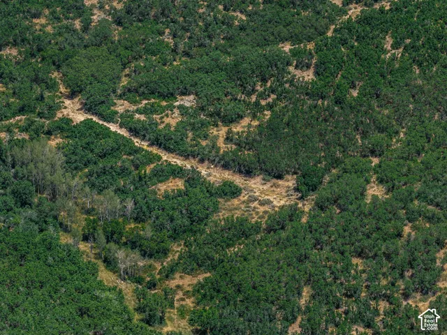 Expansive acreage featuring dense green foliage and scattered dry terrain