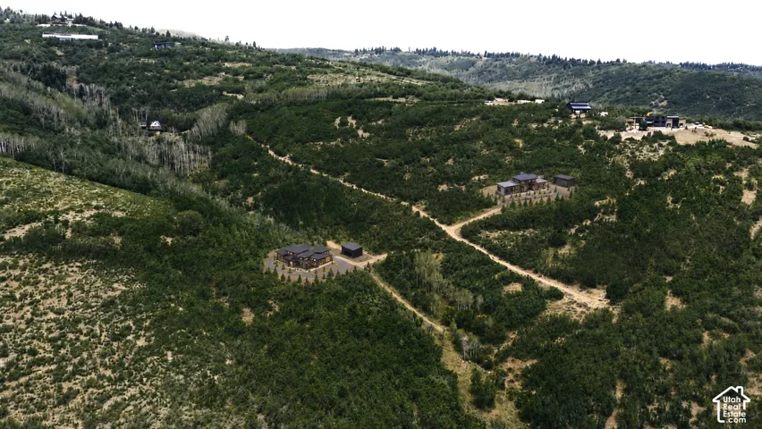 Expansive, verdant landscape featuring a substantial residence with a dark exterior, a detached outbuilding, and a winding unpaved access road