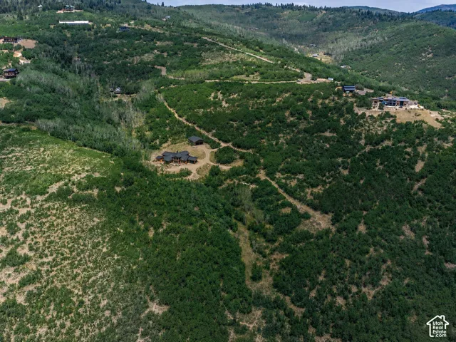 Hillside property featuring wooded terrain, a gravel driveway, and multiple residential structures