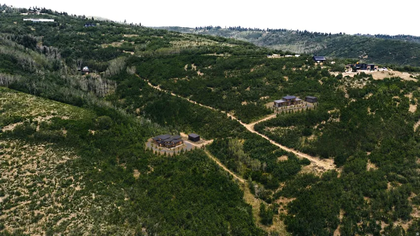 Expansive, verdant landscape featuring a substantial residence with a dark exterior, a detached outbuilding, and a winding unpaved access road