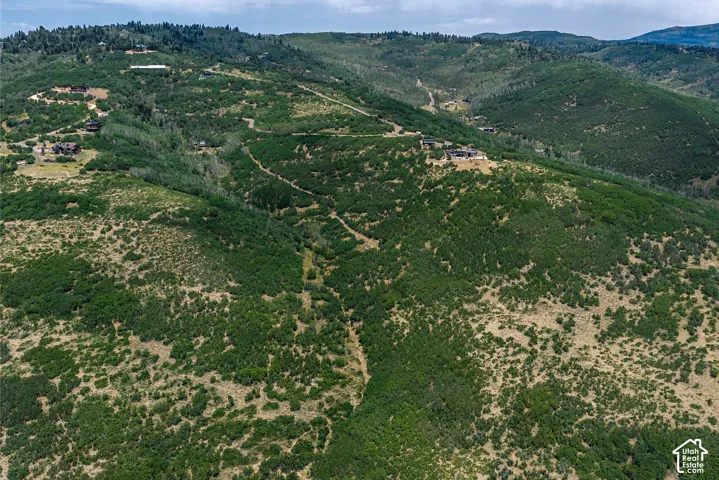 Expansive hillside property featuring diverse natural foliage and distant structures