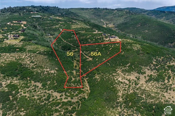 Expansive mountain terrain with visible property lines for parcels 56 and 56A