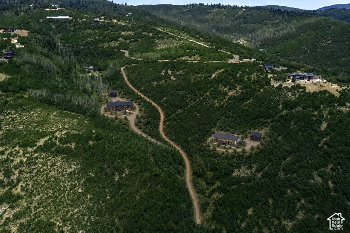 Expansive mountain terrain with winding roads, surrounded by lush green foliage